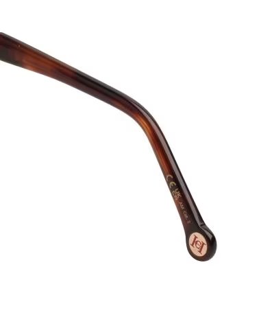 CAROLINA HERRERA HER0188S SCHMETTERLINGS-SONNENBRILLE AUS BRAUNEM ACETAT MARRóN CRISTAL