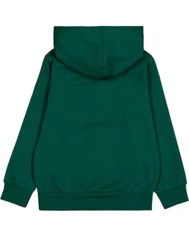 CHAMPION FELPA CON CAPPUCCIO 306837-GS502 PER BAMBINI UNISEX VERDE