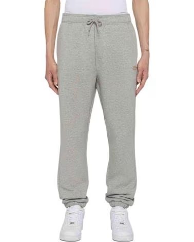 PANTALONI DELLA TUTA DICKIES MAPLETON NAN