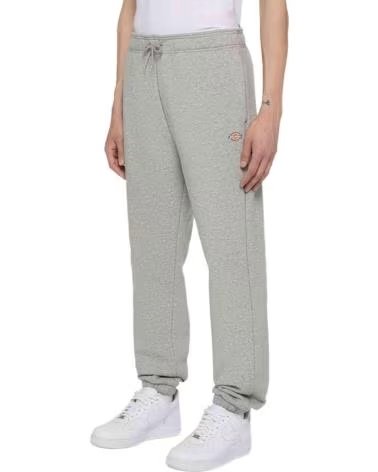 DICKIES MAPLETON JOGGINGHOSE