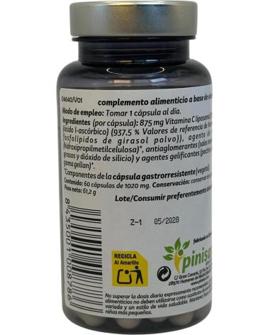 PINISAN VITAMINA C LIPOSOMADA 750MG - 60 CÁPSULAS