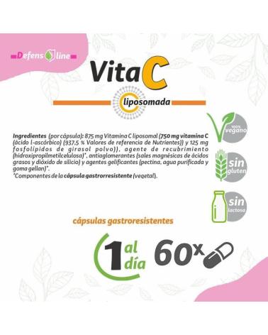 PINISAN VITAMINA C LIPOSOMADA 750MG - 60 CÁPSULAS