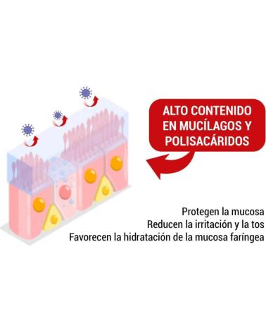 ESI TUSSERBE PASTILLAS BLANDAS PARA LA GARGANTA 50G