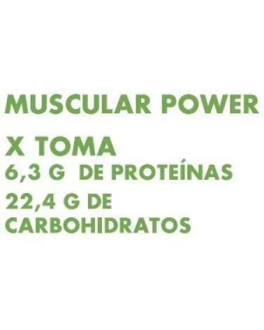 ARTESANIA AGRCOLA MASS GAINER CONCEPT MEZCLA EQUILIBRADA DE PROTEINAS E HIDRAT