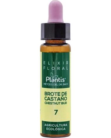 ARTESANIA AGRCOLA ELIXIR FLORAL ECOLÓGICO BROTE DE CASTAÑO 7 ARTESANÍA AGRÍCOLA
