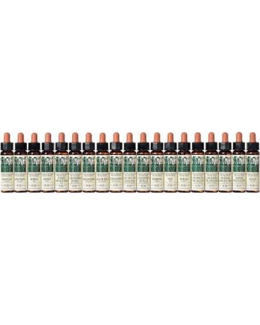 ARTESANIA AGRCOLA ELIXIR FLORAL ECOLÓGICO BROTE DE CASTAÑO 7 ARTESANÍA AGRÍCOLA