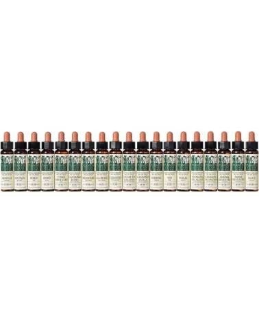 ARTESANIA AGRCOLA ELIXIR FLORAL ECOLÓGICO NOGUEIRA 33 PLANTIS DR BACH