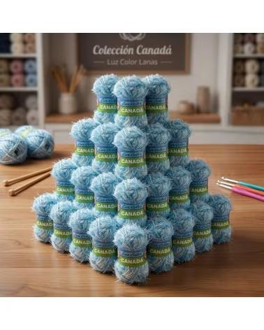 LUZ COLOR SET OF 20 SKEINS CANADA 3017 VARIEGATED MATIZADO