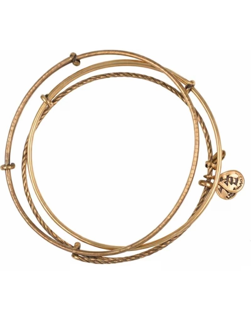 ALEX AND ANI PULSEIRA AJUSTÁVEL AND A09EB150RG
