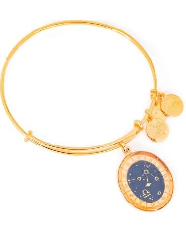 ALEX AND ANI BRAZALETE AND A15EN35YG AJUSTABLE