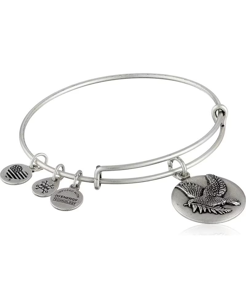 ALEX AND ANI BRACELET EXTENSIBLE AND A16EBSDRS