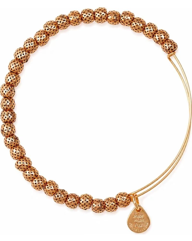 ALEX AND ANI PULSEIRA AND BBEB17RG COM CONTAS