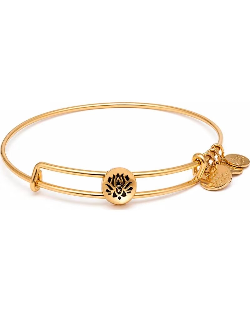 ALEX AND ANI PULSEIRA AND SSEWB10G