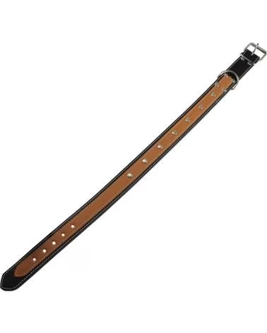 MAPEL MASCOTAS EN COLOR PARA DEPARTAMENTO POR DEFECTO MULTICOLOR