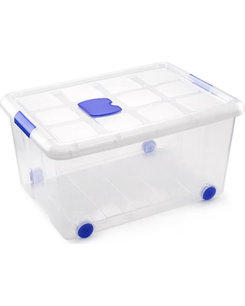 PLASTICFORTE SCATOLA PORTAOGGETTI MULTIUSO CON COPERCHIO E RUOTE MULTICOLOR