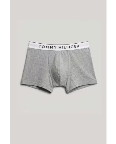 TOMMY HILFIGER ROPA INTERIOR HOMBRE MODELO UM0UM03882 COLOR MULTICOLOR 0WD
