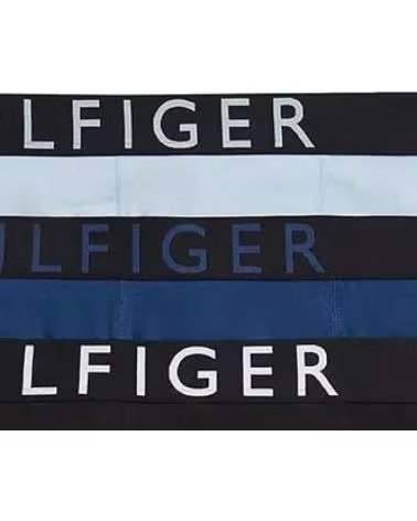 TOMMY HILFIGER ROPA INTERIOR TOMMY HILFIGER MODELO UM0UM03885 0SL