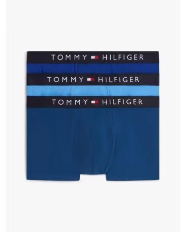 TOMMY HILFIGER BÓXER TOMMY HILFIGER UM0UM03900 AZUL 0UL