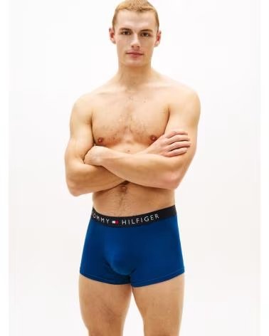TOMMY HILFIGER BÓXER TOMMY HILFIGER UM0UM03900 AZUL 0UL