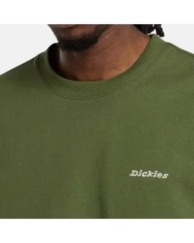 DICKIES Camiseta De Manga Corta Loretto en verde para hombre CYPRESS