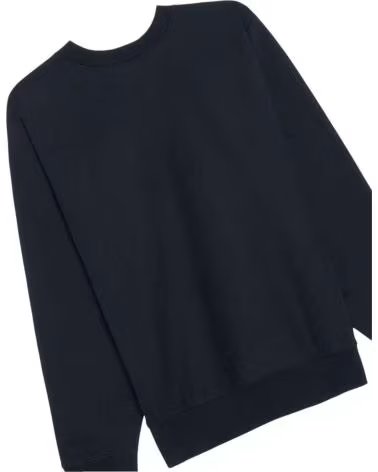 CHAMPION SWEATSHIRT 216339-BS501