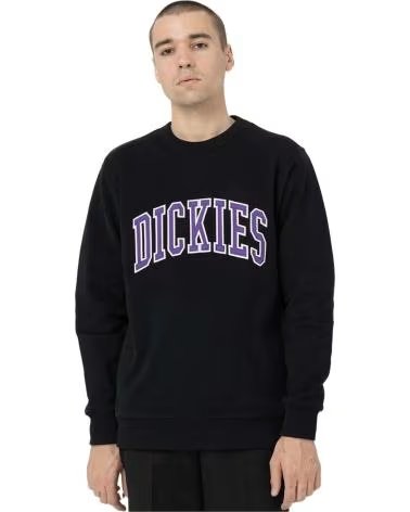 DICKIES FELPA DK0A4XAB NEGRO