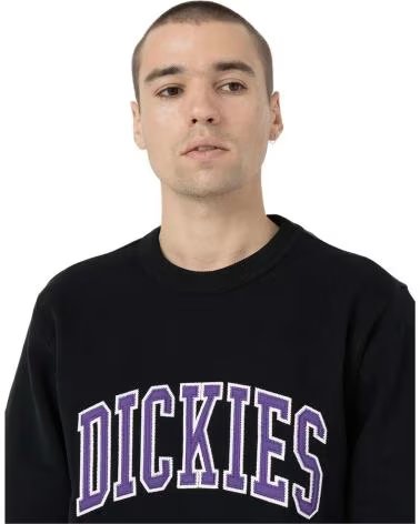 DICKIES FELPA DK0A4XAB NEGRO