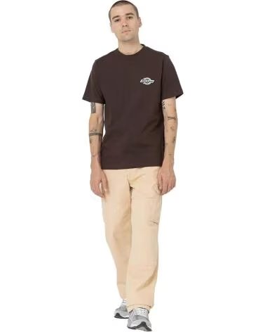 DICKIES CAMISETA DE MANGA CORTA DK0A4XDC - CAMISETA EN MARRON PARA HOMBRE BLANCO