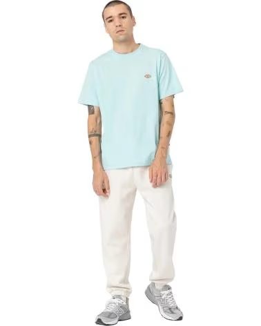 DICKIES T-SHIRT A MANICHE CORTE DK0A4XDB BEIGE