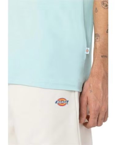 DICKIES T-SHIRT A MANICHE CORTE DK0A4XDB BEIGE