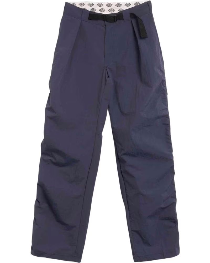 DICKIES PANTALON LARGO DK0A866P0DN1 MULTICOLOR