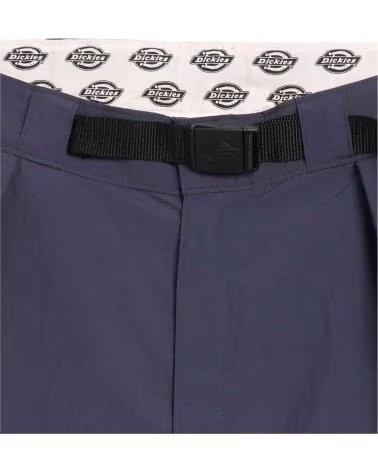DICKIES PANTALON LARGO DK0A866P0DN1 MULTICOLOR