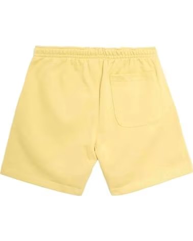 THE NORTH FACE THE NF0A8FMHG661 SHORTS