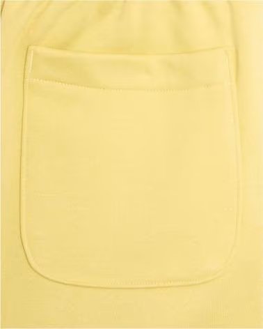 THE NORTH FACE THE NF0A8FMHG661 SHORTS