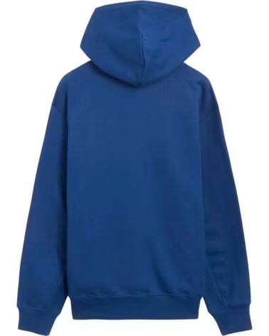 THE NORTH FACE UNISEX KAPUZENPULLOVER THE NF0A8C43D1R1 IN BLAU