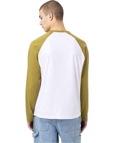 DICKIES DK0A4XDF SHORT SLEEVE T-SHIRT BICOLOR BLANCO - VERDE
