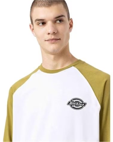 DICKIES DK0A4XDF SHORT SLEEVE T-SHIRT BICOLOR BLANCO - VERDE