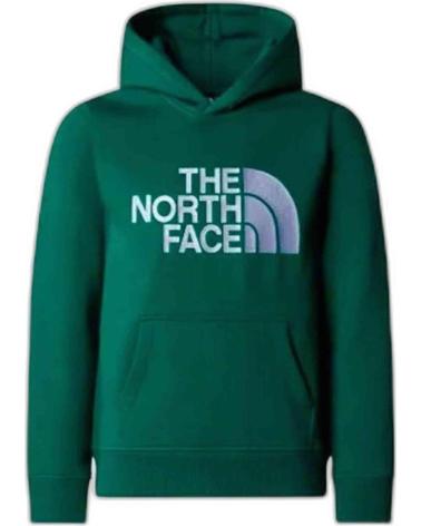 THE NORTH FACE SUDADERA CON CAPUCHA THE NF0A89HHNL11 PARA NIÑOS MULTICOLOR