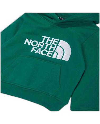 THE NORTH FACE SUDADERA CON CAPUCHA THE NF0A89HHNL11 PARA NIÑOS MULTICOLOR