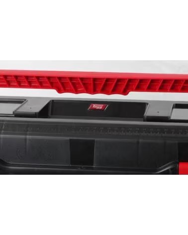 TAYG CAJA DE HERRAMIENTAS CON BANDEJA EXTRAÍBLE MULTICOLOR