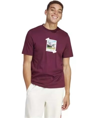 ADIDAS CAMISETA IS9045 DE MANGA CORTA MULTICOLOR