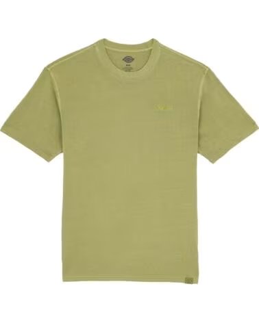 DICKIES CAMISETA DE MANGA CORTA DK0A866BL201-2FW5 EN VERDE PARA HOMBRE NAN