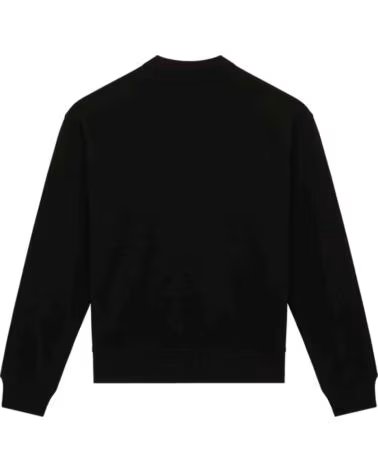 Inizio-DICKIES-SUDADERAS-HOMBRE-MODELO-168387-COLOR-NEGRO-BLK1