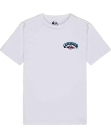 QUICKSILVER QUIKSILVER PALM HORIZON KURZARM-T-SHIRT UNISEX NINO