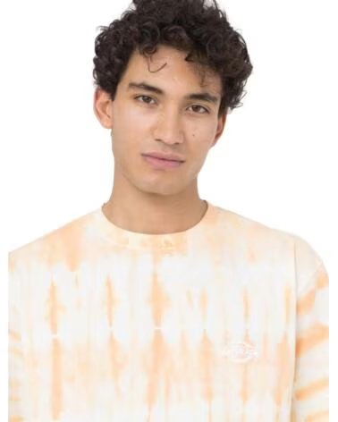 DICKIES T-SHIRT A MANICHE CORTE DK0A4YBQE831 TIE-DYE NARANJA