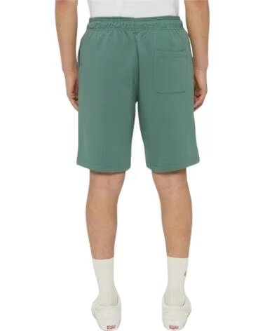 DICKIES PANTALONCINI DK0A4Y83H151 DA UOMO VERDE