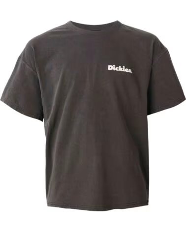 Inizio-DICKIES-TEXTIL-EN-COLOR-PARA-HOMBRE-GRIS