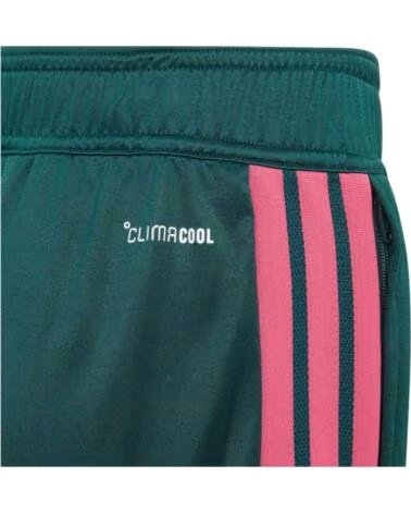 ADIDAS PANTALON CORTO REAL MADRID 26-27 TIRO26 COMPETITION TRAINING EN VERDE PARA NINOS UNISEX AURORA IVY