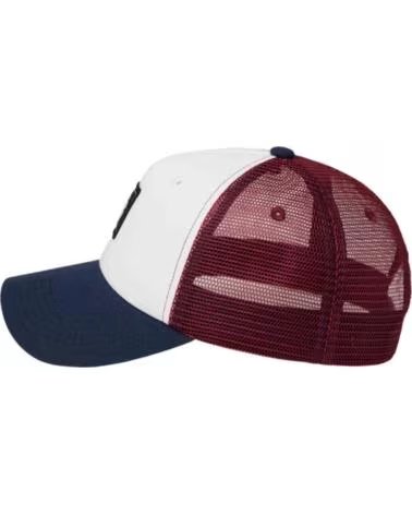 ELEMENT GORRA ELYHA00248-RSP0 EN MULTICOLOR PARA UNISEX TAWNY PORT - SOLID