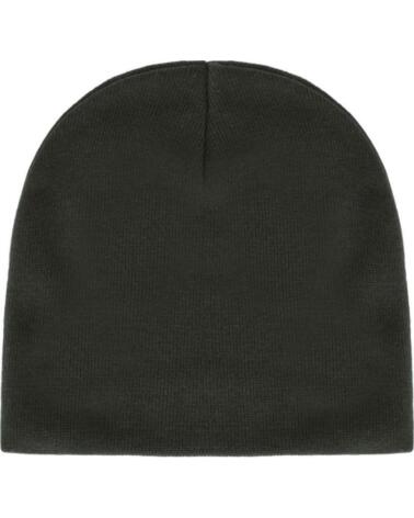 CARHARTT WIP GORRO I033358-2ZXXX OPUNTIA